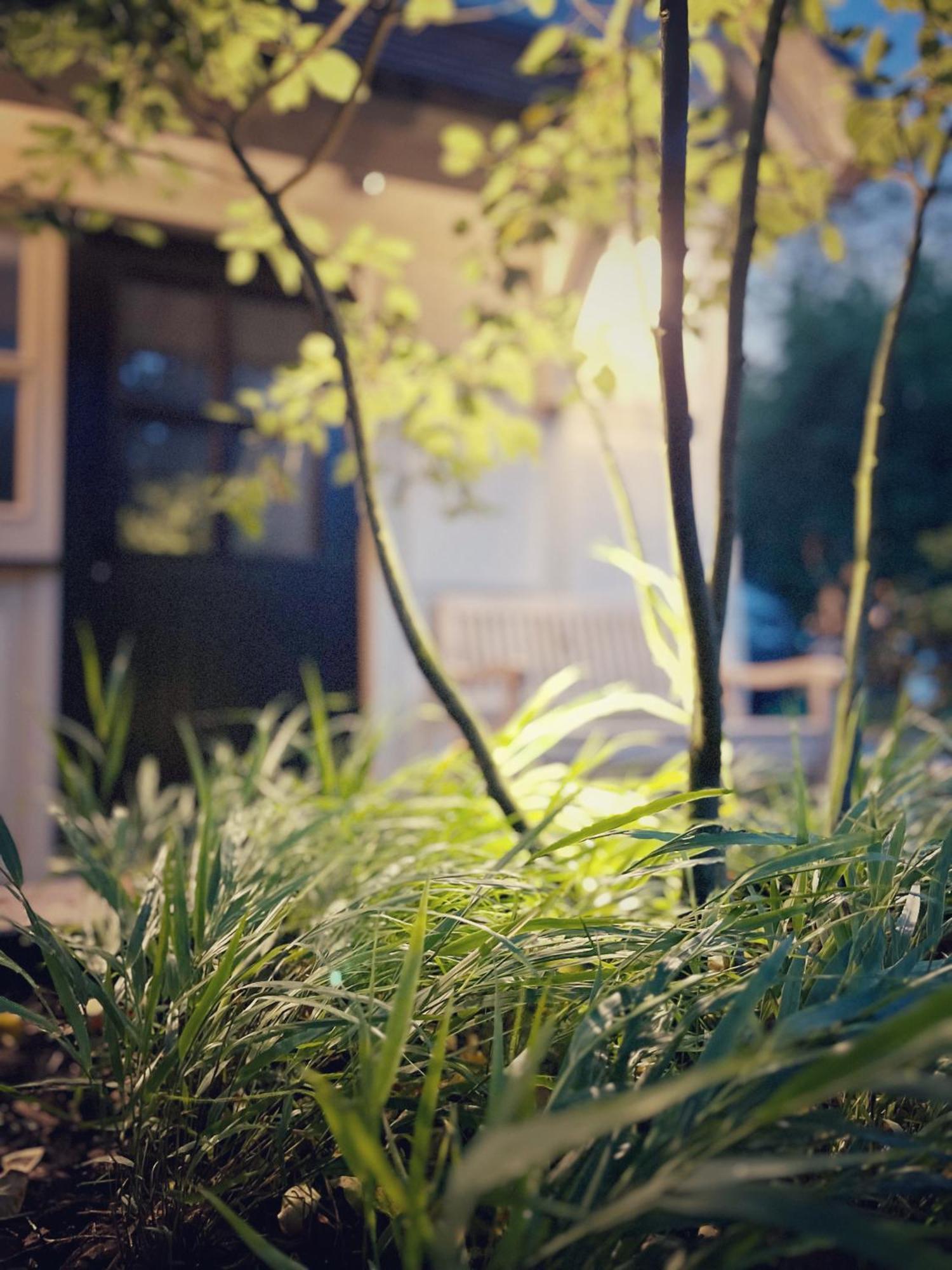 Tauberchalet - Luxury Biohacking & Natur-Retreat Mit Whirlpool & Sauna - Familienfreundlich Rothenburg ob der Tauber Buitenkant foto