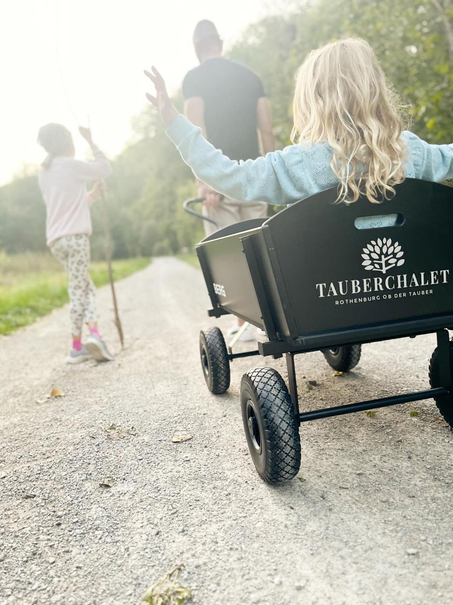 Tauberchalet - Luxury Biohacking & Natur-Retreat Mit Whirlpool & Sauna - Familienfreundlich Rothenburg ob der Tauber Buitenkant foto