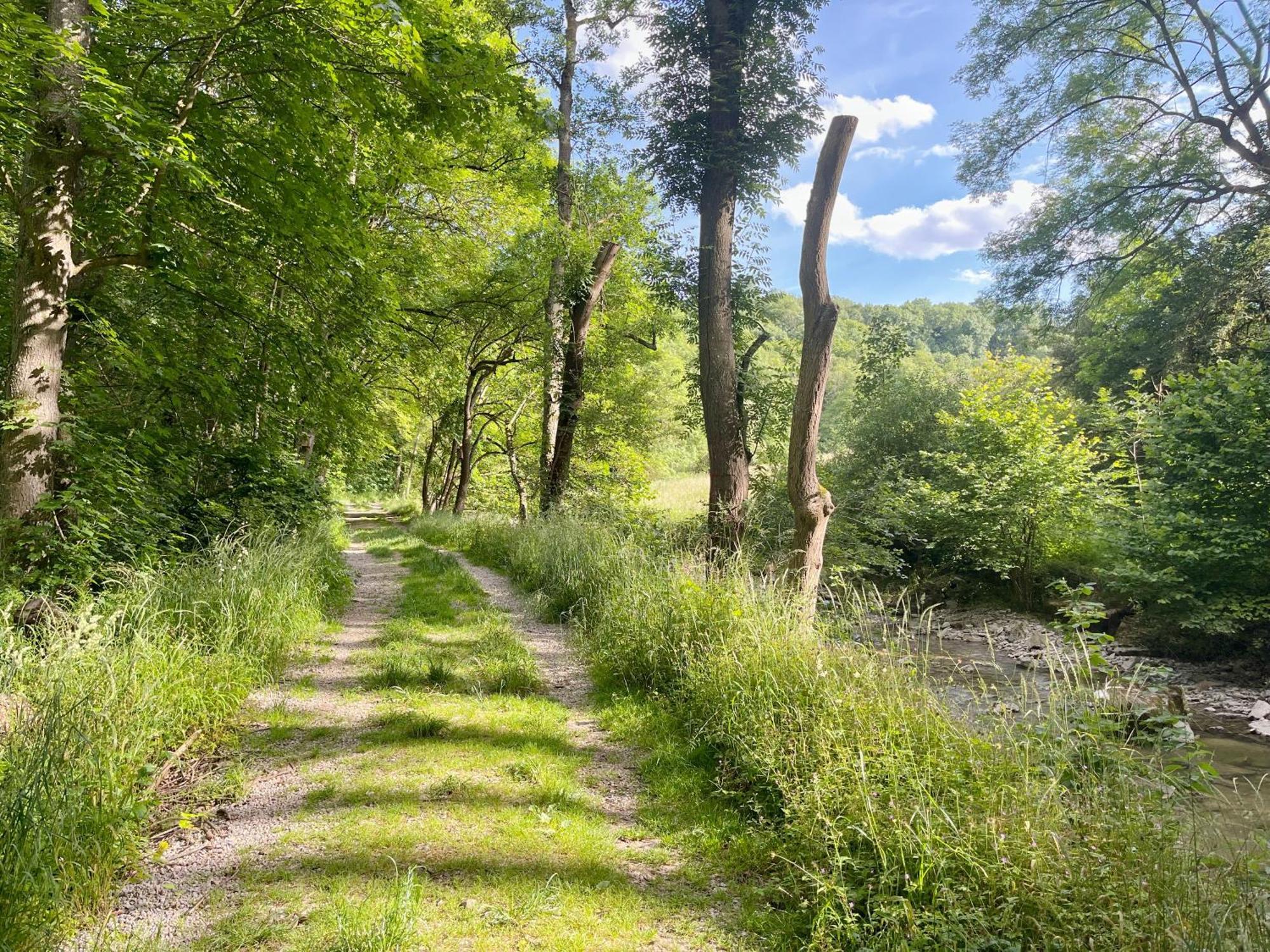 Tauberchalet - Luxury Biohacking & Natur-Retreat Mit Whirlpool & Sauna - Familienfreundlich Rothenburg ob der Tauber Buitenkant foto